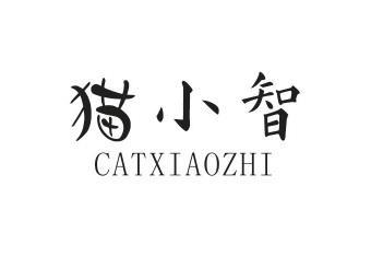 猫小智CATXIAOZHI