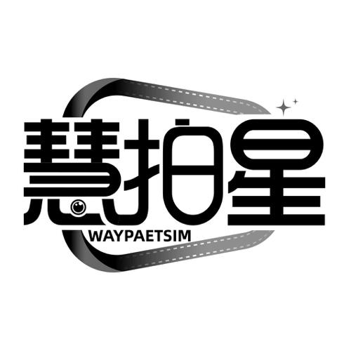 慧拍星WAYPAETSIM