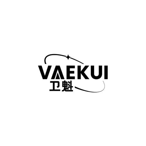 卫魁VAEKUI