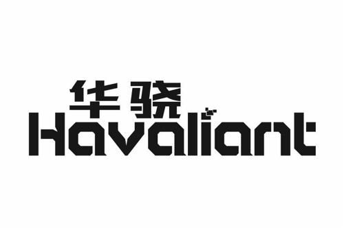 华骁HAVALIANT