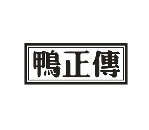 鸭正传