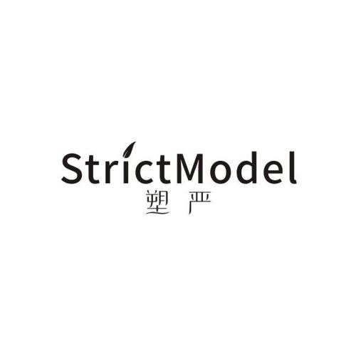 塑严STRICTMODEL