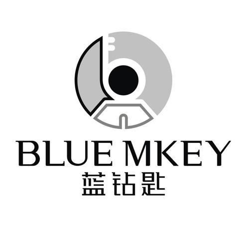 蓝钻匙BLUEMKEY