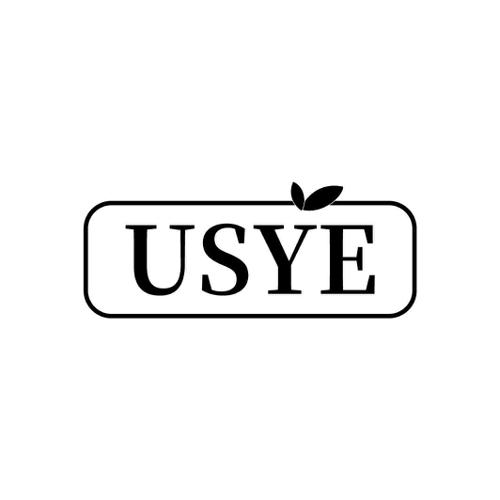 USYE