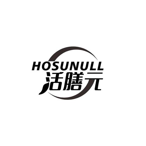 活膳元HOSUNULL