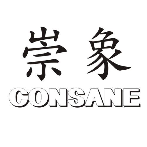 崇象CONSANE