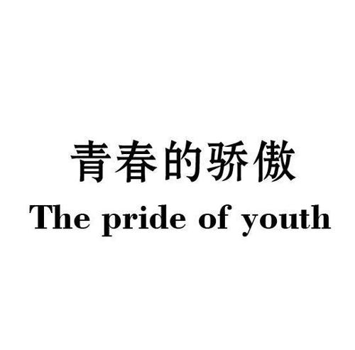 青春的骄傲THEPRIDEOFYOUTH