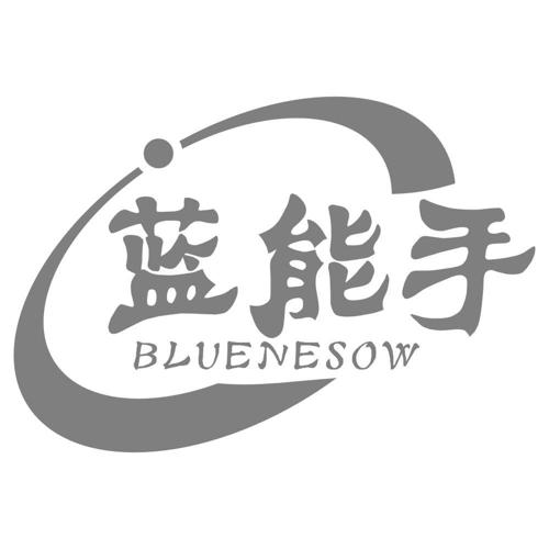 蓝能手BLUENESOW