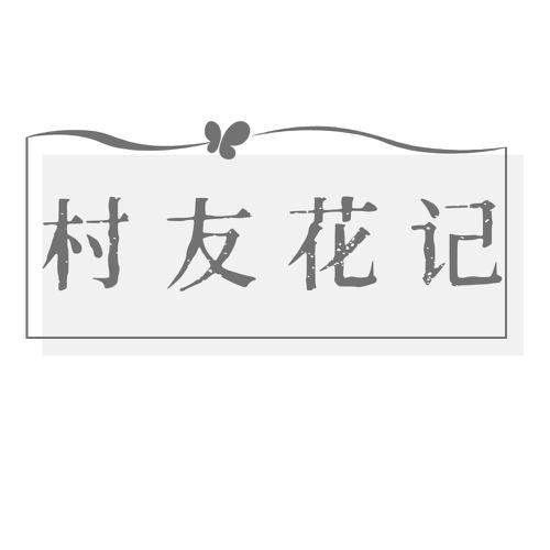 村友花记