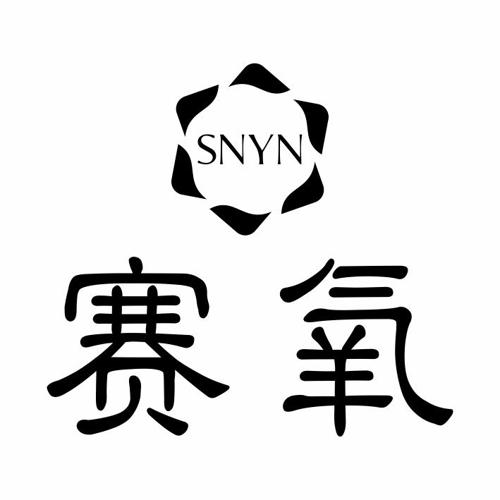 赛氧SNYN