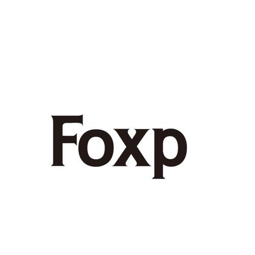 FOXP