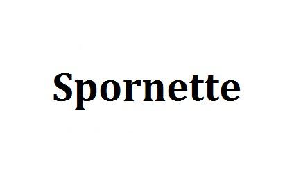 SPORNETTE