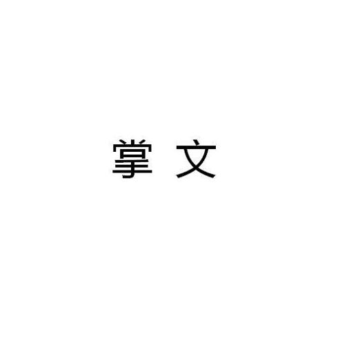 掌文