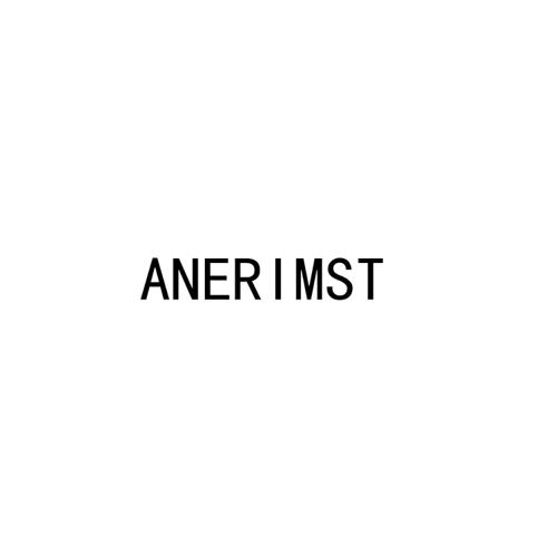 ANERIMST