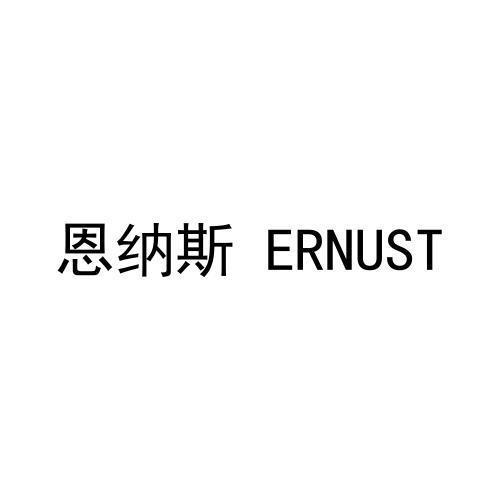 恩纳斯ERNUST