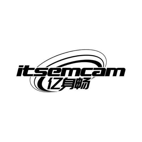 亿身畅ITSEMCAM