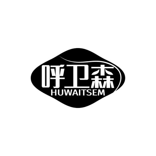 呼卫森HUWAITSEM