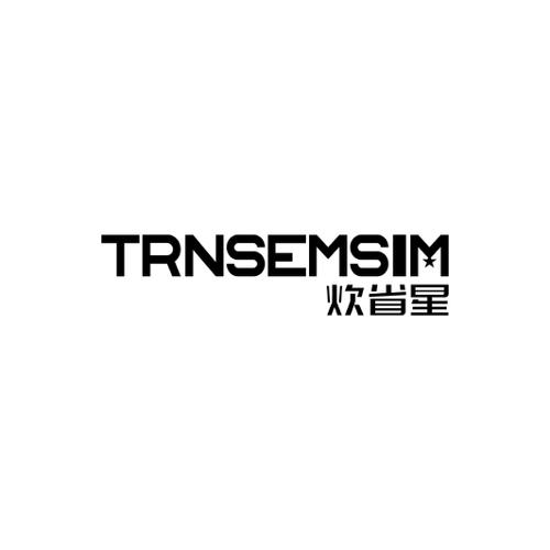 炊省星TRNSEMSIM