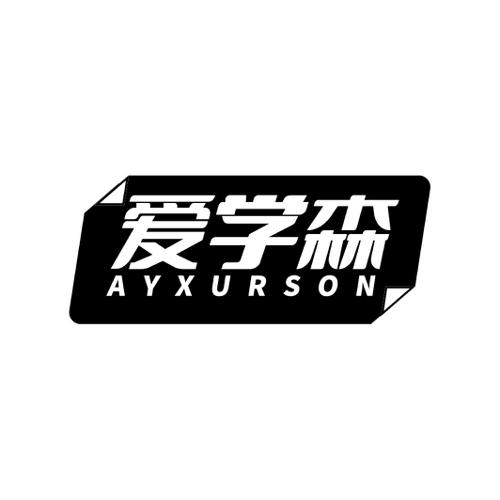 爱学森AYXURSON