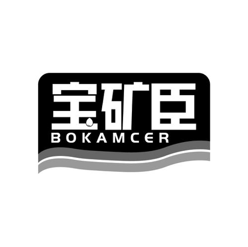 宝矿臣BOKAMCER