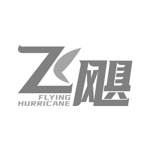 飞飓FLYINGHURRICANE