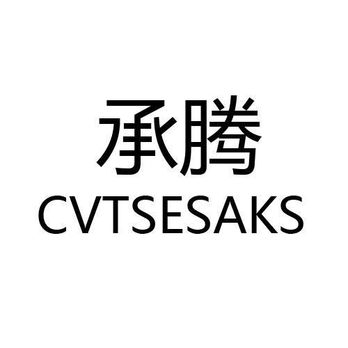 承腾CVTSESAKS