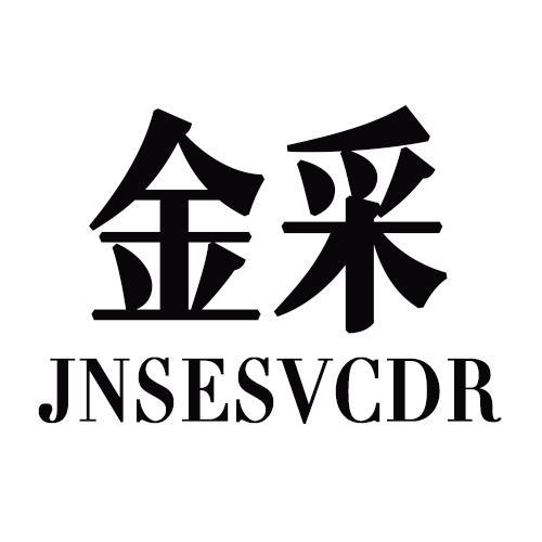 金采JNSESVCDR