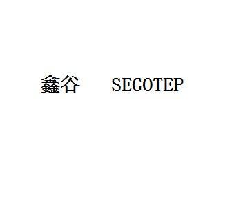 鑫谷SEGOTEP