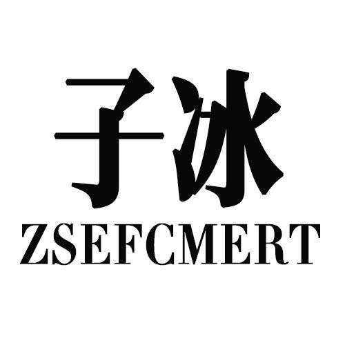 子冰ZSEFCMERT