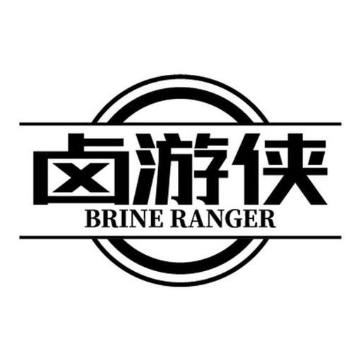 卤游侠BRINERANGER