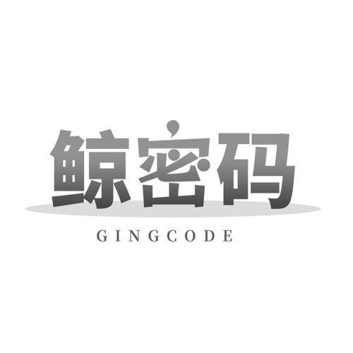 鲸密码GINGCODE