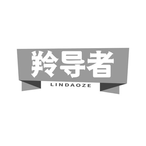 羚导者LINDAOZE