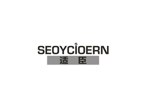 适臣SEOYCIOERN