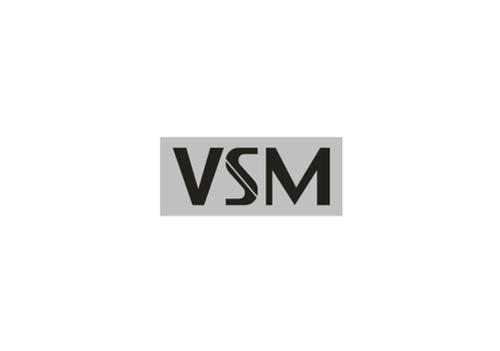 VSM