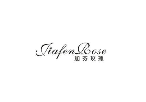 加芬玫瑰JIAFENROSE