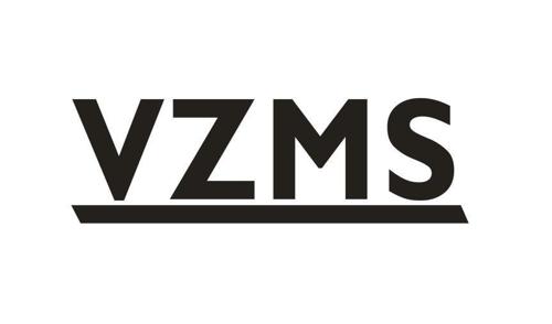 VZMS