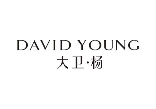 大卫·杨DAVIDYOUNG