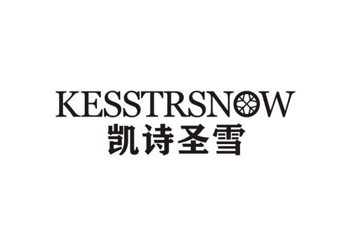 凯诗圣雪KESSTRSNOW