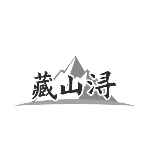 藏山浔