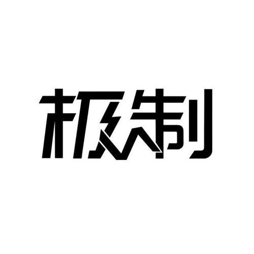 极制