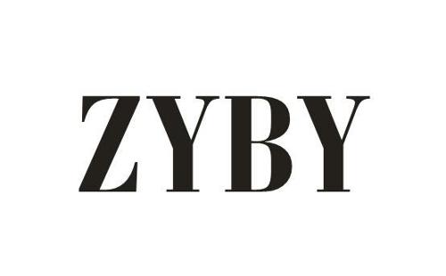 ZYBY