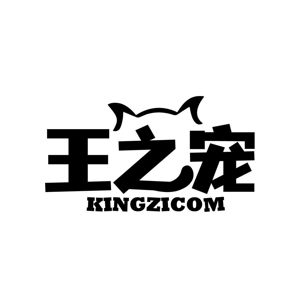 王之宠KINGZICOM