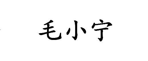 毛小宁