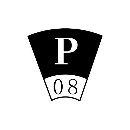 P08