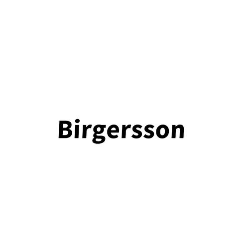 BIRGERSSON