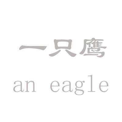 一只鹰ANEAGLE