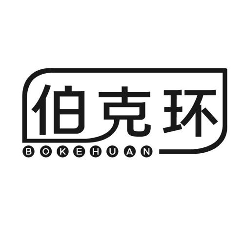 伯克环