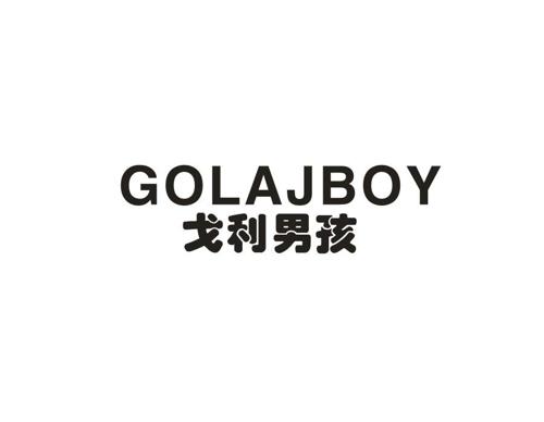 戈利男孩GOLAJBOY