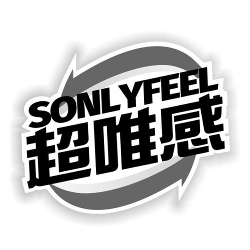 超唯感SONLYFEEL