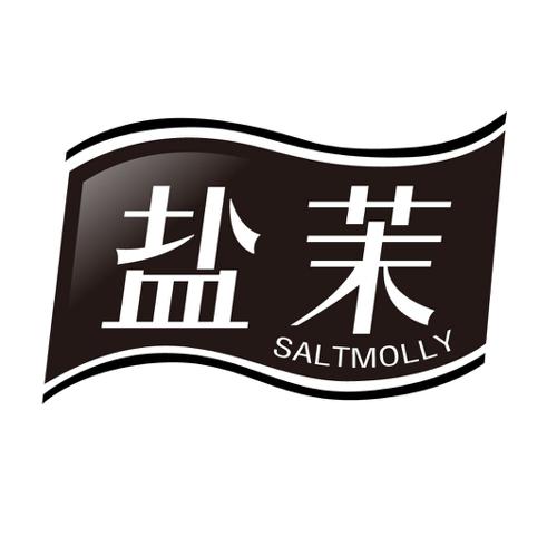 盐茉SALTMOLLY